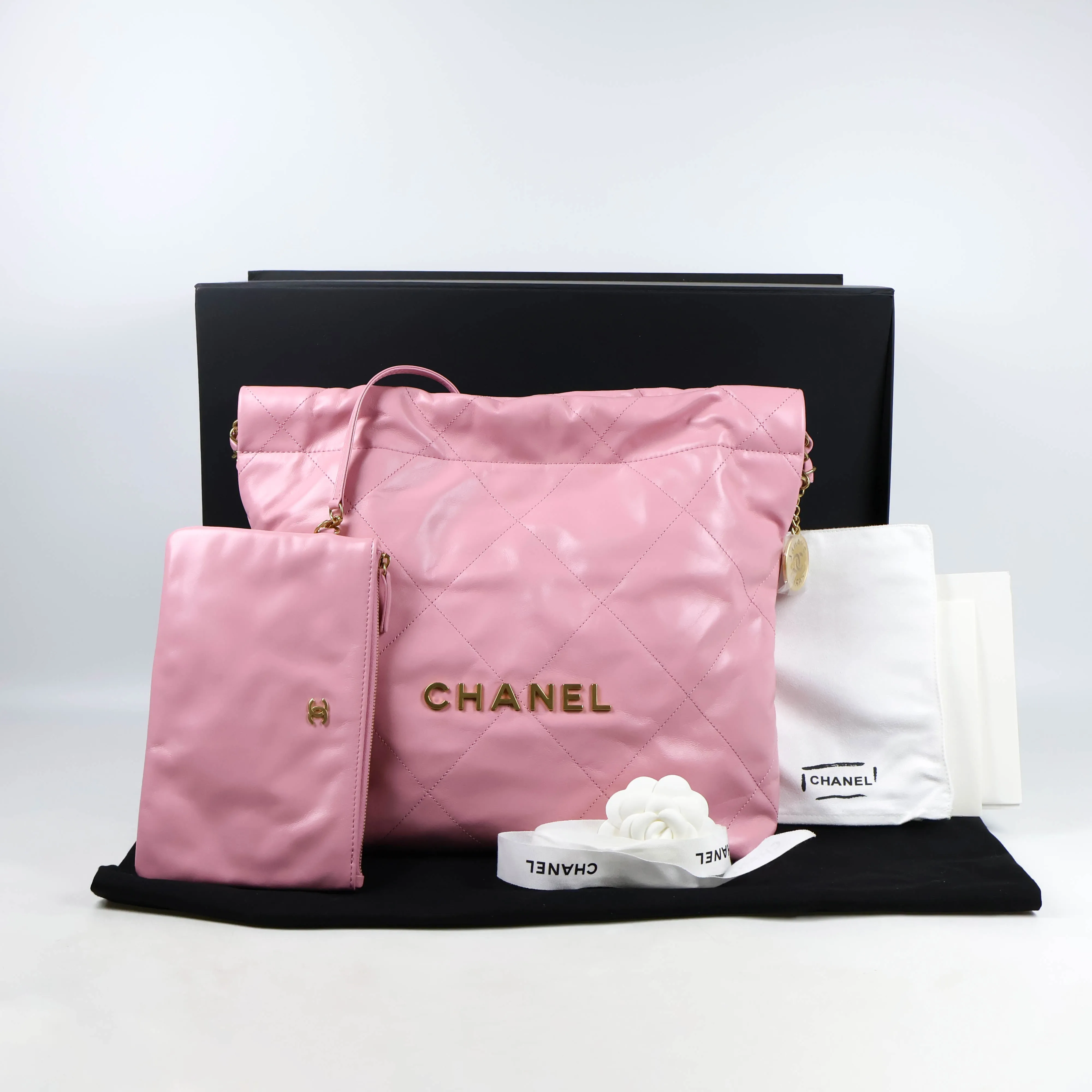 Chanel 22 Hobo Small Pink GHW