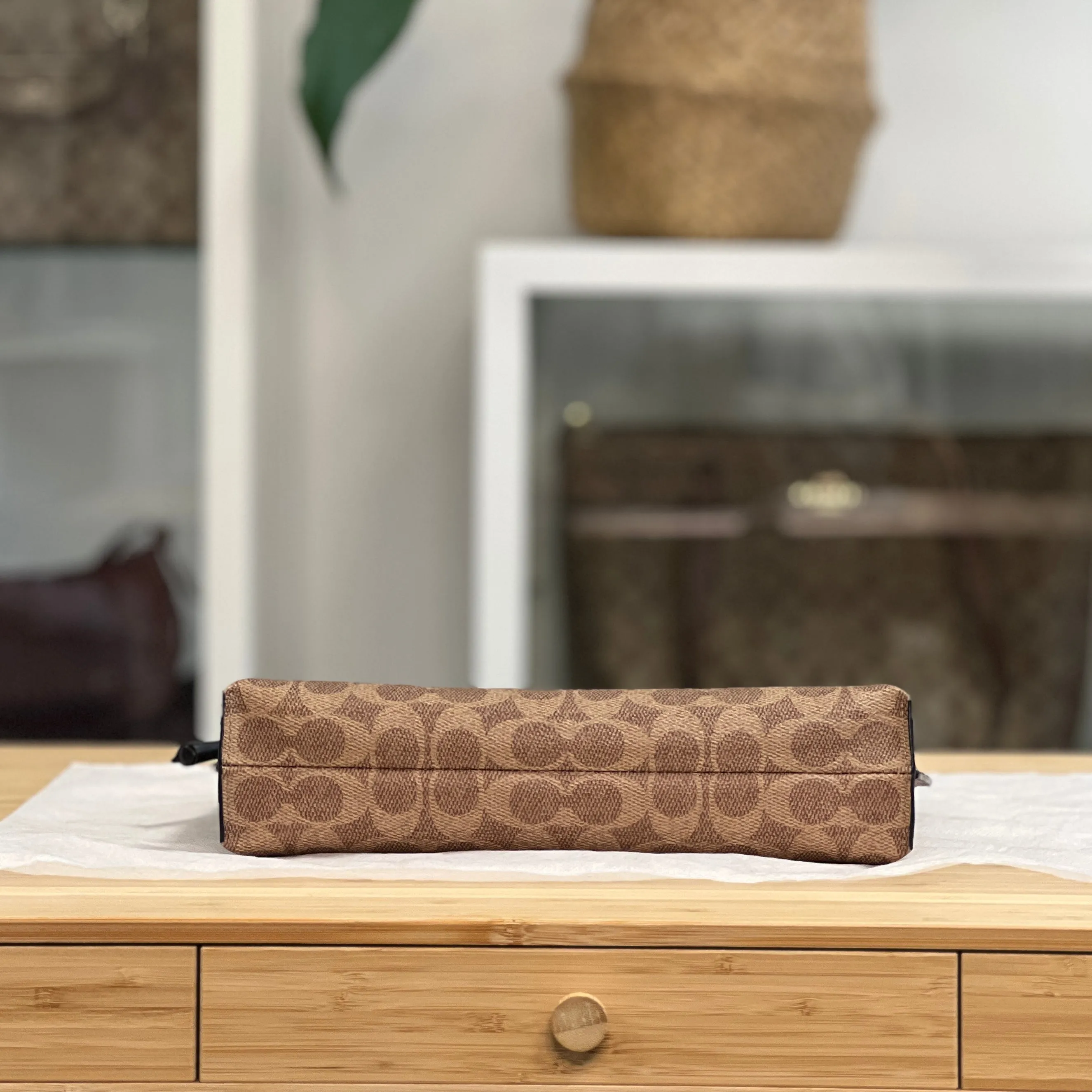 Coach x Guang Yu Crossbody